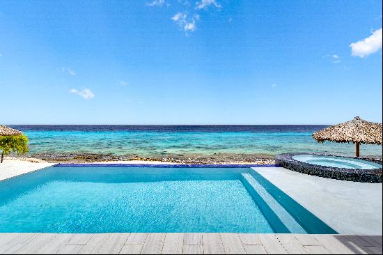 Exclusive Oceanfront Luxury Villa #3