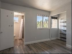 Mammoth Lakes condo - Remodeled with stunning views