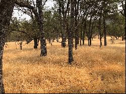 120 Acres, Pilot Hill, CA 95664