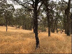 120 Acres, Pilot Hill, CA 95664