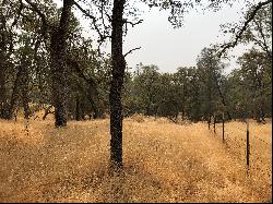 120 Acres, Pilot Hill, CA 95664