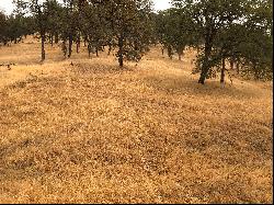 120 Acres, Pilot Hill, CA 95664