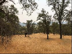 120 Acres, Pilot Hill, CA 95664