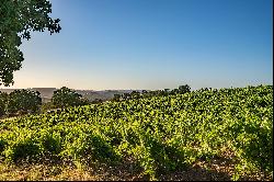 Breathtaking 40-Acre Vineyard Property with Panoramic Western Views.