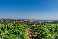 Breathtaking 40-Acre Vineyard Property with Panoramic Western Views.