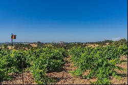 Breathtaking 40-Acre Vineyard Property with Panoramic Western Views.