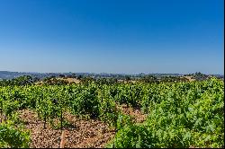 Breathtaking 40-Acre Vineyard Property with Panoramic Western Views.