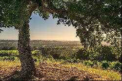 Breathtaking 40-Acre Vineyard Property with Panoramic Western Views.