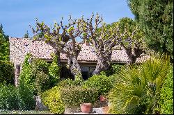 Near Uzès - Magnificent silkworm farm