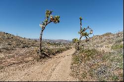 Panoramic Hilltop Retreat: 5 Acres of Hi-Desert Bliss