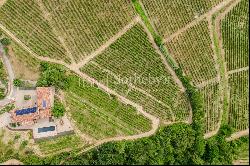 Modern property at the heart of the Langhe