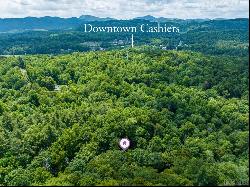 68 Bushwhacker Way, Cashiers NC 28717