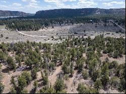 Lot 5 Sagebrush Road, Ramah NM 87321