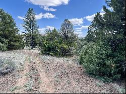 Lot 5 Sagebrush Road, Ramah NM 87321