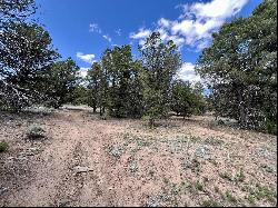 Lot 5 Sagebrush Road, Ramah NM 87321