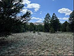 Lot 5 Sagebrush Road, Ramah NM 87321