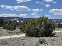 Lot 5 Sagebrush Road, Ramah NM 87321