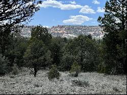 Lot 5 Sagebrush Road, Ramah NM 87321