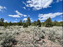 Lot 5 Sagebrush Road, Ramah NM 87321