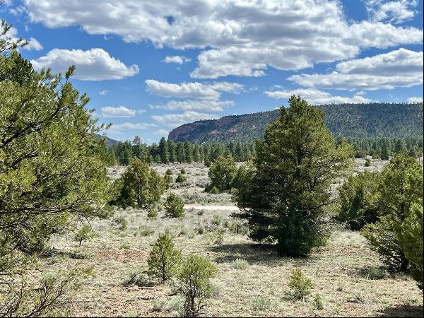 Lot 5 Sagebrush Road, Ramah NM 87321