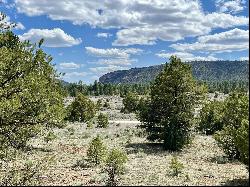 Lot 5 Sagebrush Road, Ramah NM 87321