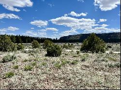 Lot 5 Sagebrush Road, Ramah NM 87321