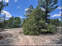 Lot 5 Sagebrush Road, Ramah NM 87321