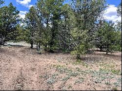 Lot 5 Sagebrush Road, Ramah NM 87321