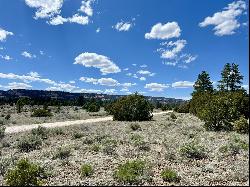 Lot 5 Sagebrush Road, Ramah NM 87321