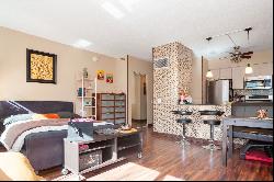 512 N McClurg Court #1109, Chicago IL 60611