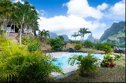 Moorea - Pao Pao -  Superb property with incredible views !