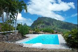 Moorea - Pao Pao -  Superb property with incredible views !