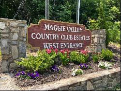 391 Valley View Dr, Maggie Valley NC 28751
