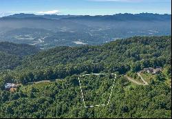 Lot 18 Signature Row Blvd #18, Waynesville NC 28785