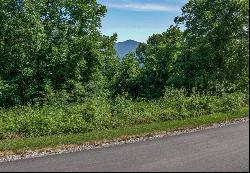 Lot 18 Signature Row Blvd #18, Waynesville NC 28785