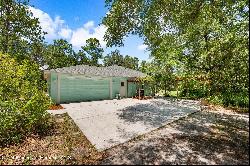 10463 Yellowlegs Avenue, Weeki Wachee FL 34614