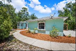 10463 Yellowlegs Avenue, Weeki Wachee FL 34614