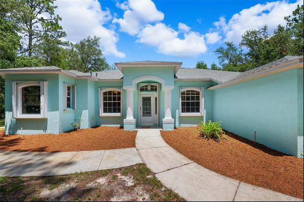 10463 Yellowlegs Avenue, Weeki Wachee FL 34614