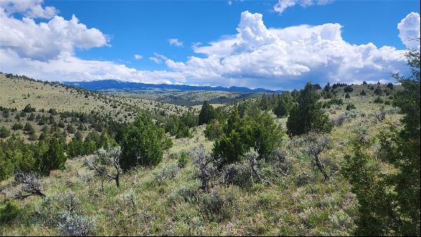 Tract 8A Lower Water Gulch, Virginia City MT 59755