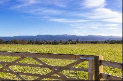 Lot 2, 50 Phelps Way, Greytown, Wairarapa