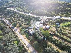 luxury golf resort home in Querenca