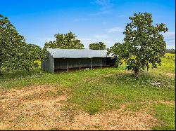 Tbd Fm 141 - 43a,Giddings, TX, 78942