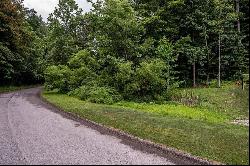 $21 Lot Timberland Dr, Unity Twp PA 15601