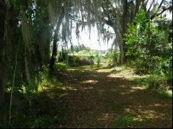 2698 County Road 740, Webster FL 33597