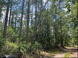 Fawn Trail, Palatka FL 32177