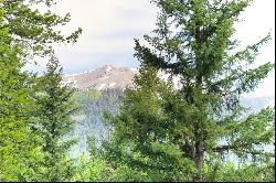 Indian Paintbrush Lot