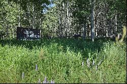 Indian Paintbrush Lot