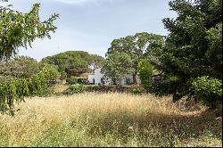 Charming 17th century farmhouse with 3 independent dwellings