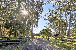 The Carbrook Farm