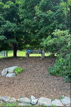 BOONE - YONAHLOSSEE SADDLE CLUB